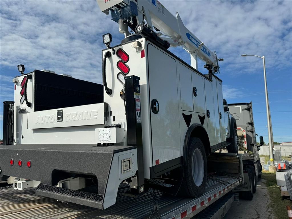 Auto Crane Service Truck - Escuintla, Guatemala - photo 1