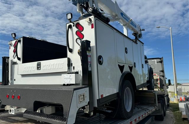 Auto Crane Service Truck - Escuintla, Guatemala - photo 1