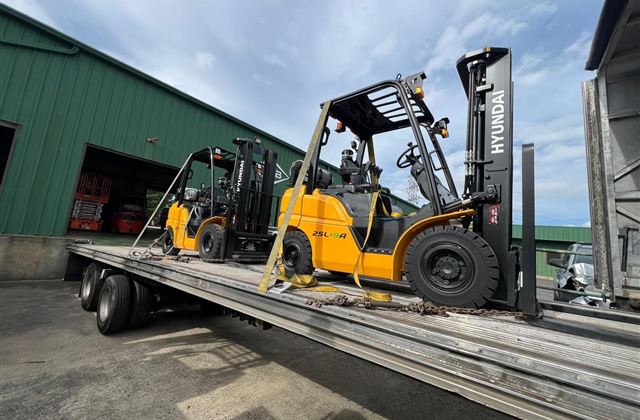 Hyundai 25L-9A Forklifts - Santo Domingo, Dominican Republic - photo 1