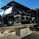Royal EV Golf Carts - David, Panama - photo 1